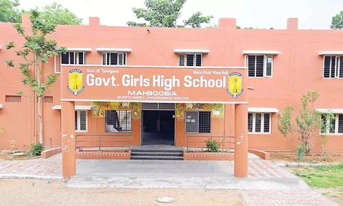 Government School